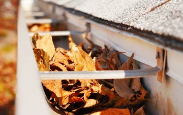 East Dunbartonshire gutter cleaning companies