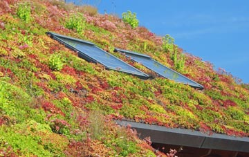 East Dunbartonshire living roof systems